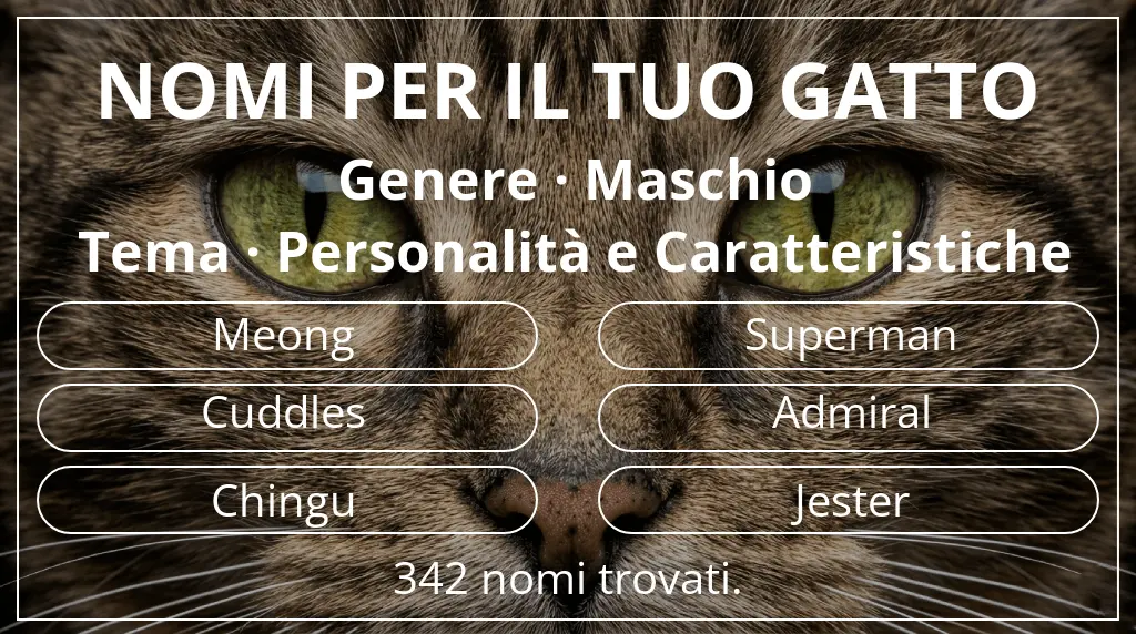 Nomi felini legati a genere maschio e tema personalità e caratteristiche