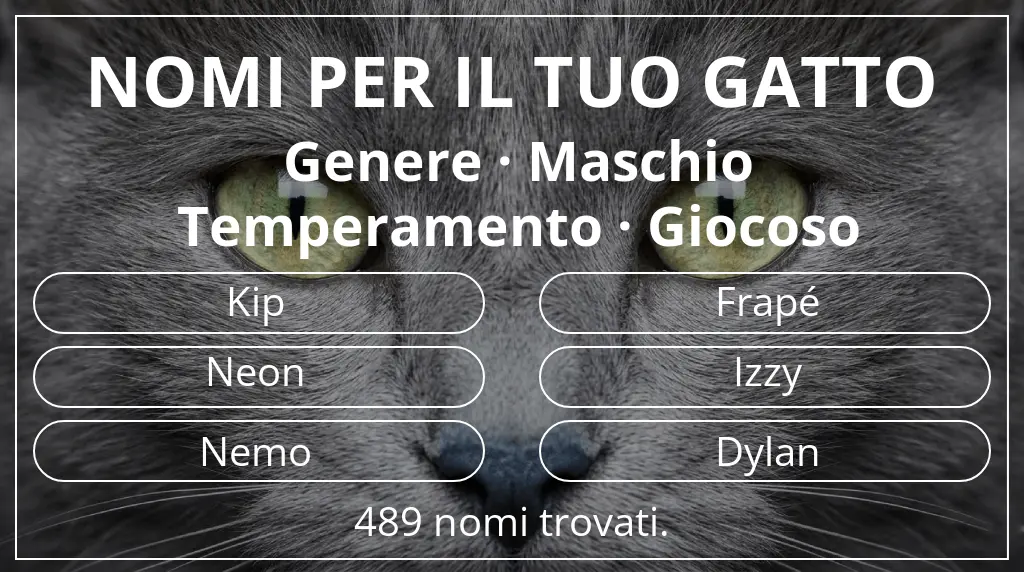 Nomi per il tuo gatto ispirati a genere maschio e temperamento giocoso