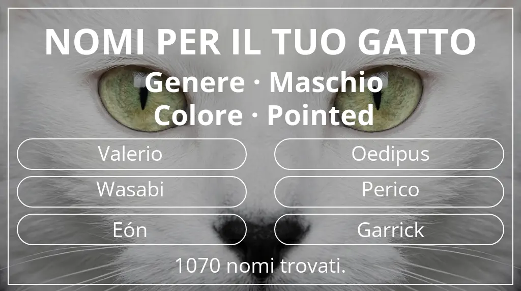 Nomi per il tuo gatto basati su genere maschio e colore pointed