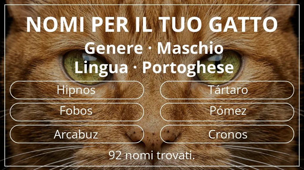 Nomi per gatti ispirati a genere maschio e lingua portoghese