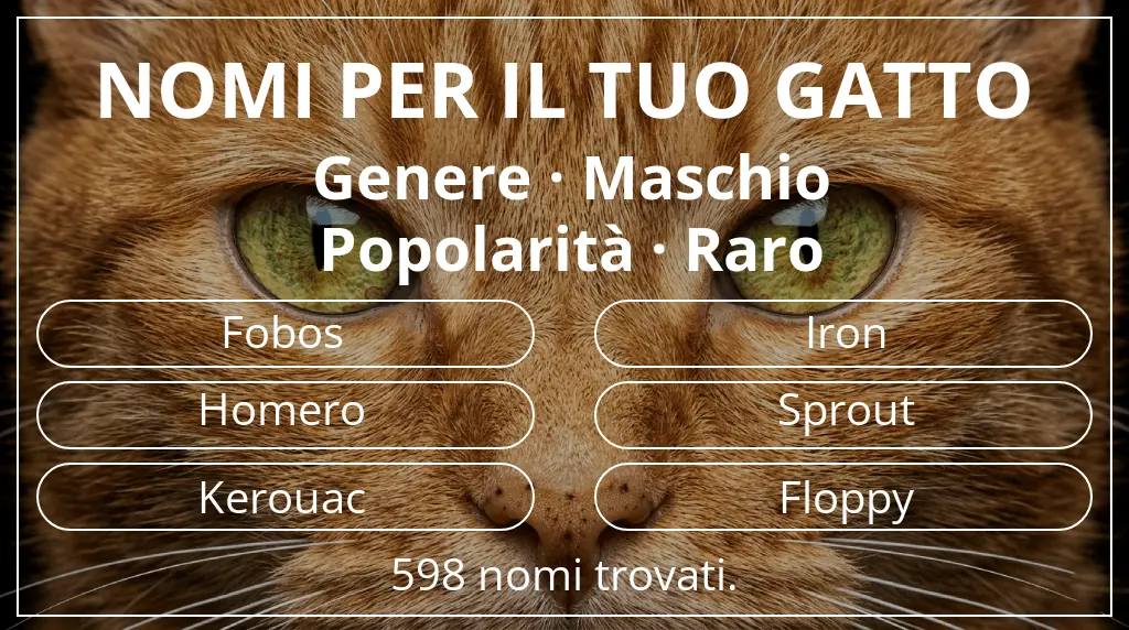 Nomi per il tuo gatto basati su genere maschio e popolarità raro