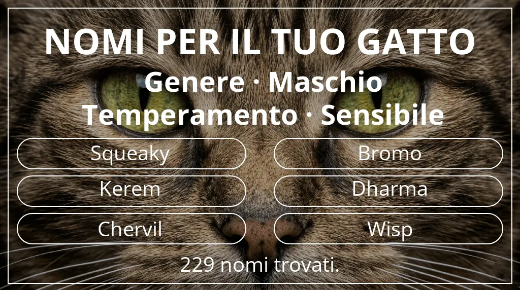 Nomi per gatti basati su genere maschio e temperamento sensibile