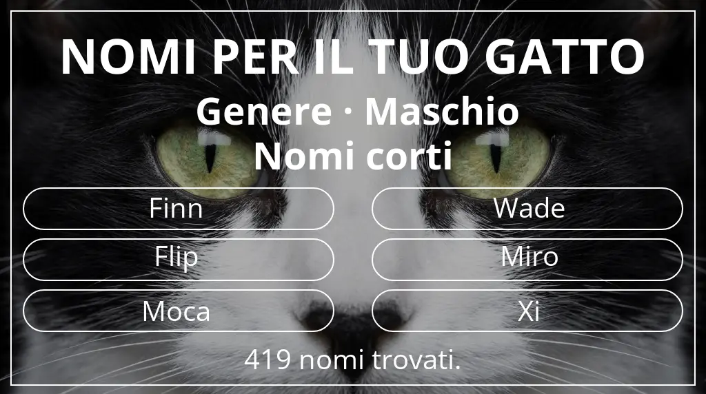 Nomi per gatti basati su genere maschio e lunghezza del nome breve (2–4)