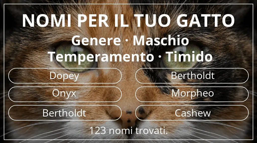 Nomi per gatti ispirati a genere maschio e temperamento timido