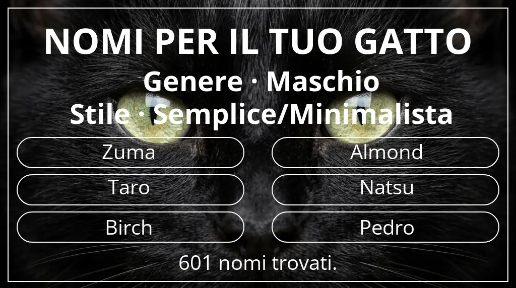 Nomi felini legati a genere maschio e stile semplice/minimalista