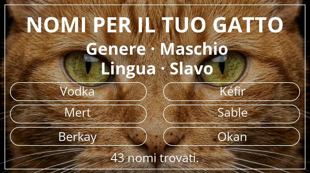 Nomi per il tuo gatto basati su genere maschio e lingua slavo