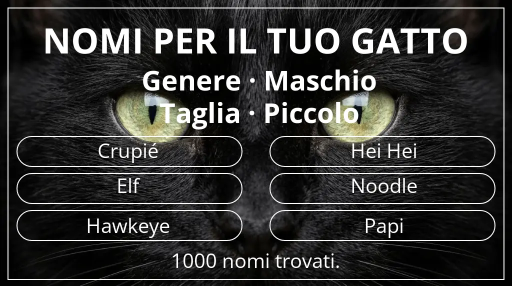 Nomi per il tuo gatto basati su genere maschio e taglia piccolo
