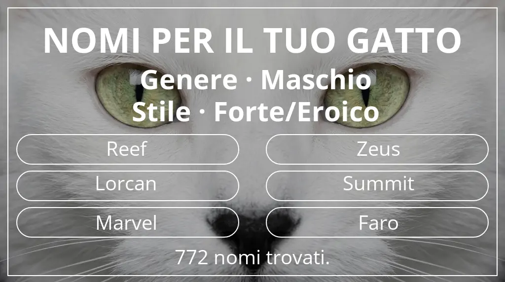 Nomi felini ispirati a genere maschio e stile forte/eroico