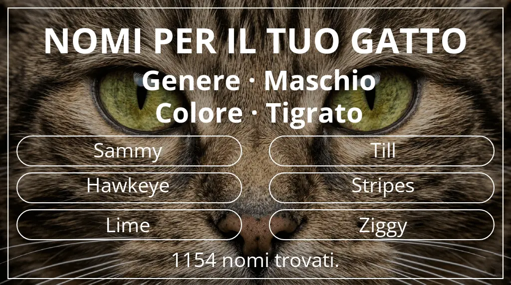 Nomi per il tuo gatto ispirati a genere maschio e colore tigrato