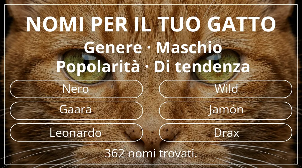 Nomi per il tuo gatto legati a genere maschio e popolarità di tendenza
