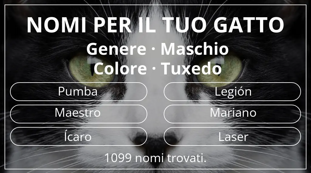 Nomi per il tuo gatto basati su genere maschio e colore tuxedo