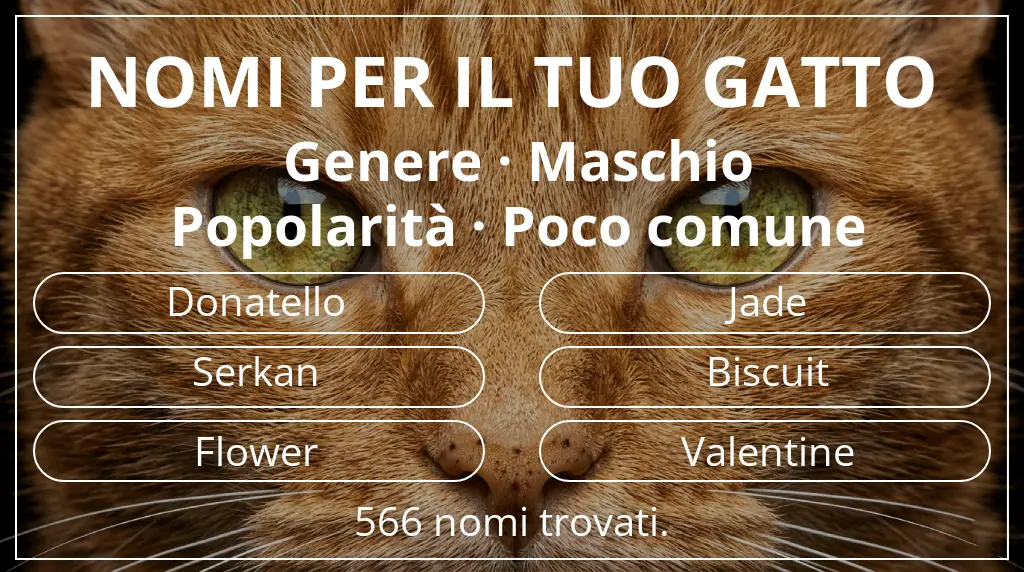 Nomi per il tuo gatto ispirati a genere maschio e popolarità poco comune