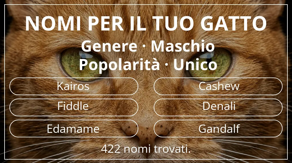 Nomi per gatti legati a genere maschio e popolarità unico