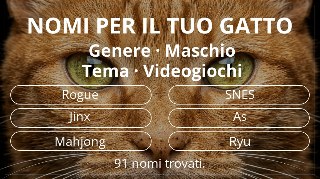 Nomi felini basati su genere maschio e tema videogiochi