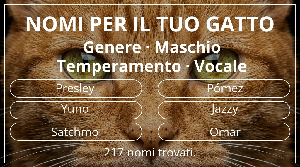 Nomi per il tuo gatto basati su genere maschio e temperamento vocale