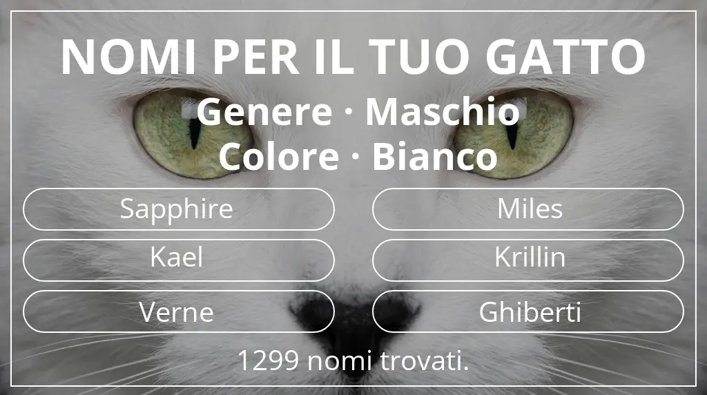 Nomi per il tuo gatto legati a genere maschio e colore bianco