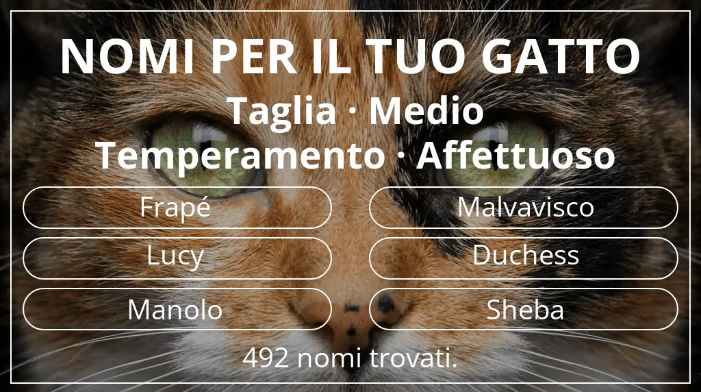 Nomi felini ispirati a taglia medio e temperamento affettuoso