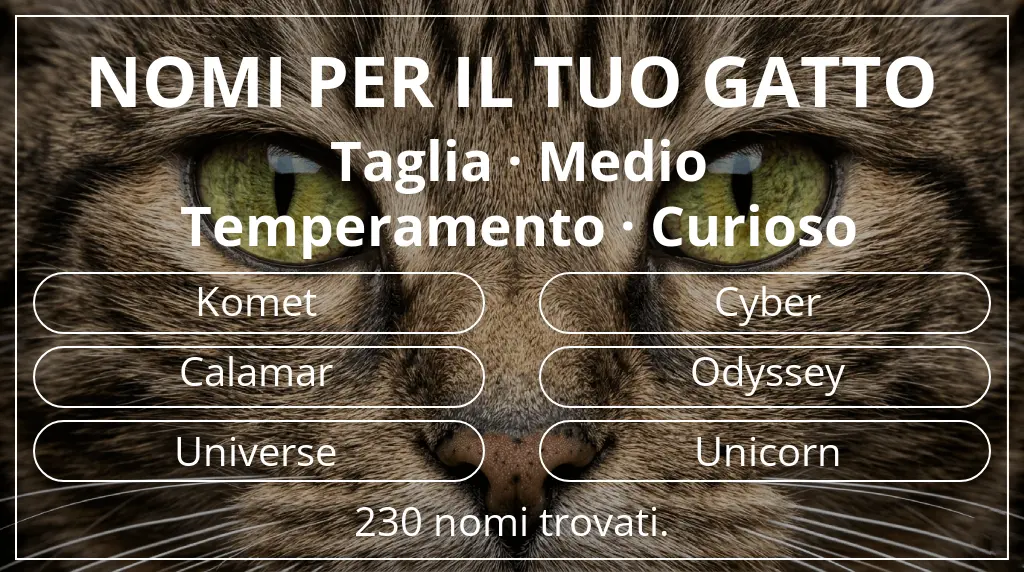 Nomi per gatti basati su taglia medio e temperamento curioso