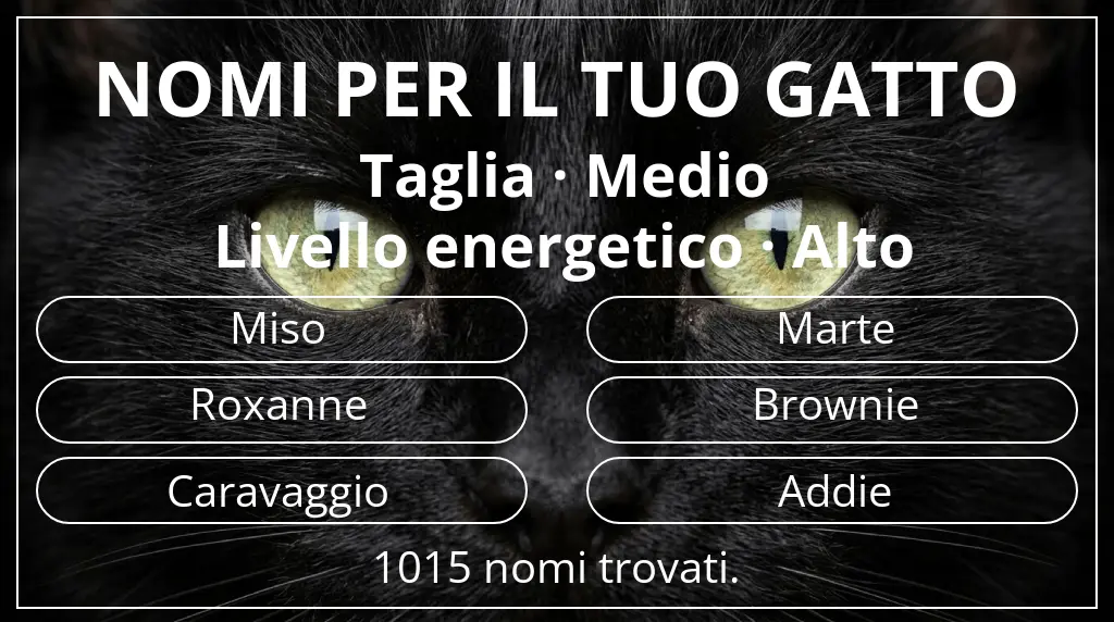 Nomi felini legati a taglia medio e livello energetico alto