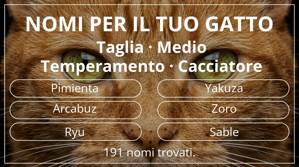 Nomi felini ispirati a taglia medio e temperamento cacciatore
