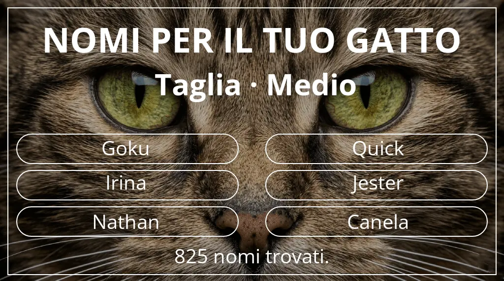 Nomi per gatti basati su taglia medio