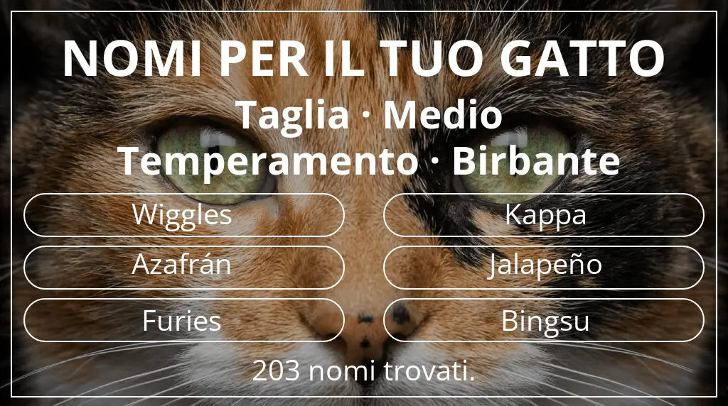 Nomi felini ispirati a taglia medio e temperamento birbante