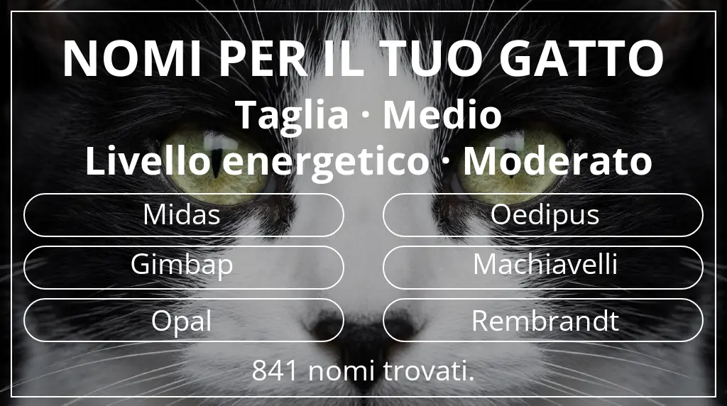 Nomi felini basati su taglia medio e livello energetico moderato