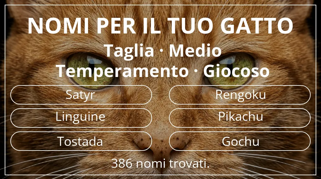 Nomi per gatti ispirati a taglia medio e temperamento giocoso