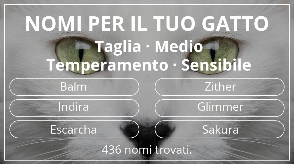 Nomi felini ispirati a taglia medio e temperamento sensibile