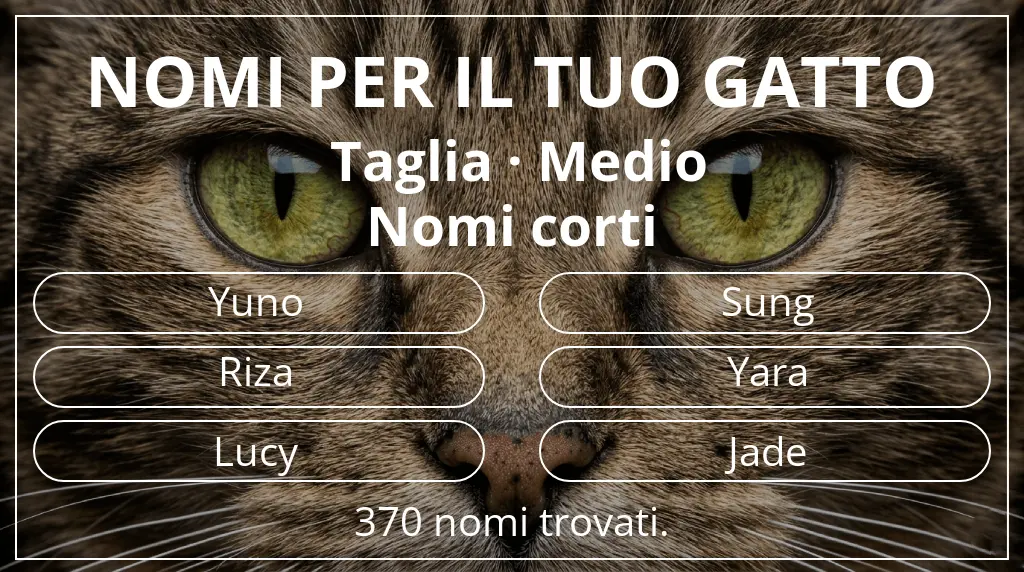 Nomi per gatti basati su taglia medio e lunghezza del nome breve (2–4)