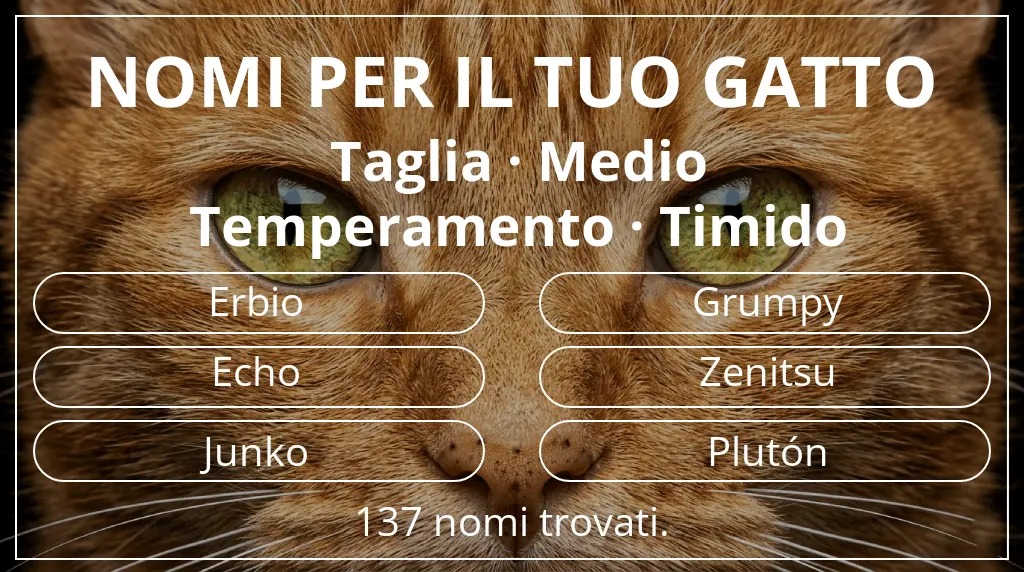 Nomi felini basati su taglia medio e temperamento timido