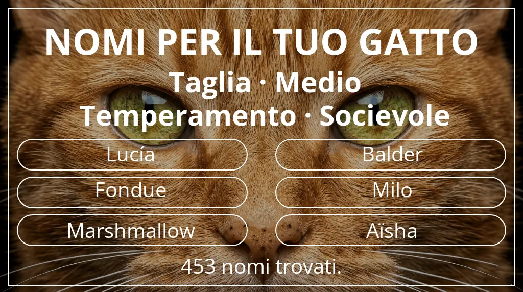 Nomi felini ispirati a taglia medio e temperamento socievole