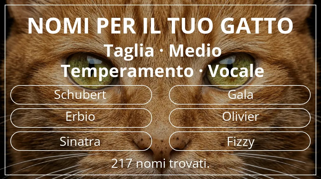 Nomi felini legati a taglia medio e temperamento vocale