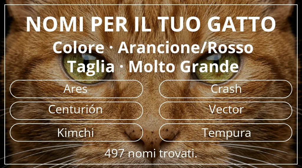 Nomi per gatti basati su colore arancione/rosso e taglia molto grande
