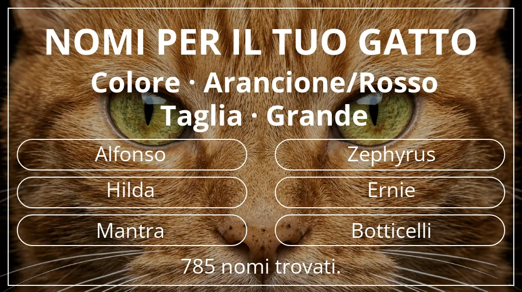 Nomi felini basati su colore arancione/rosso e taglia grande