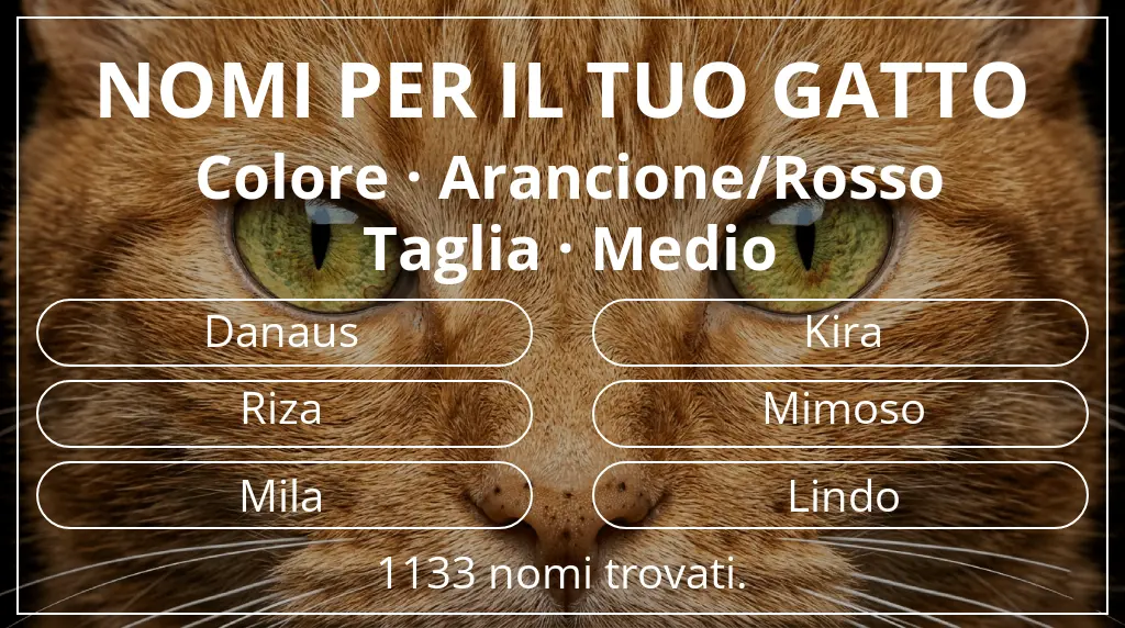 Nomi felini basati su colore arancione/rosso e taglia medio