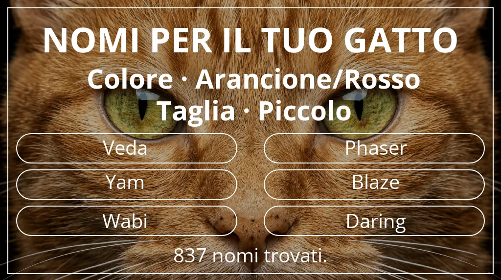 Nomi felini ispirati a colore arancione/rosso e taglia piccolo