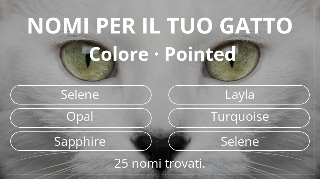 Nomi per il tuo gatto ispirati a colore pointed