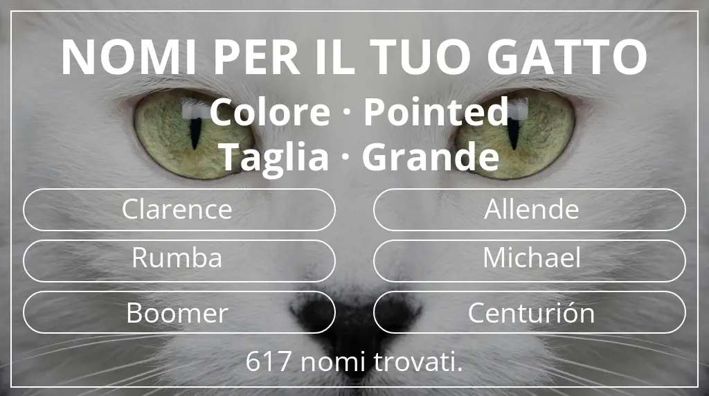 Nomi felini basati su colore pointed e taglia grande