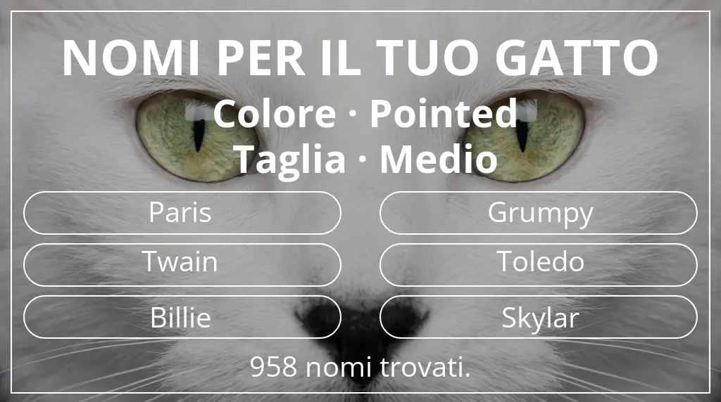 Nomi per gatti legati a colore pointed e taglia medio