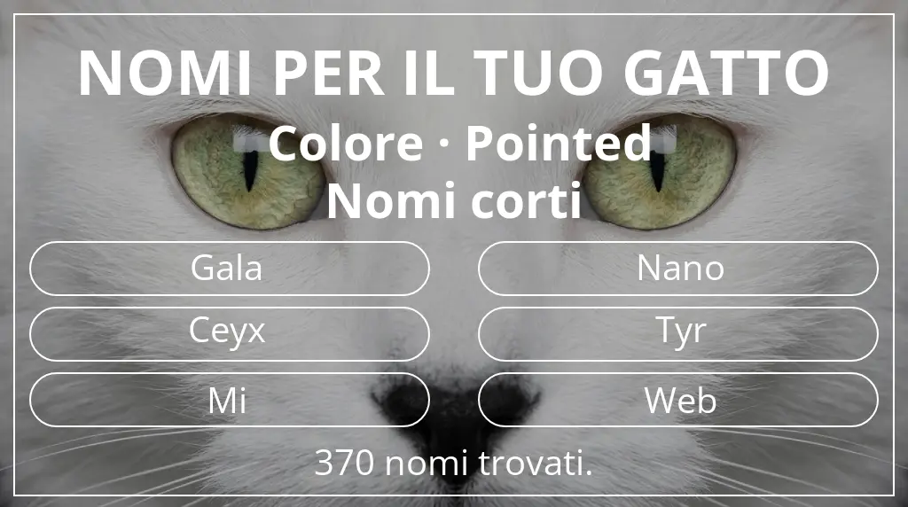 Nomi per il tuo gatto ispirati a colore pointed e lunghezza del nome breve (2–4)