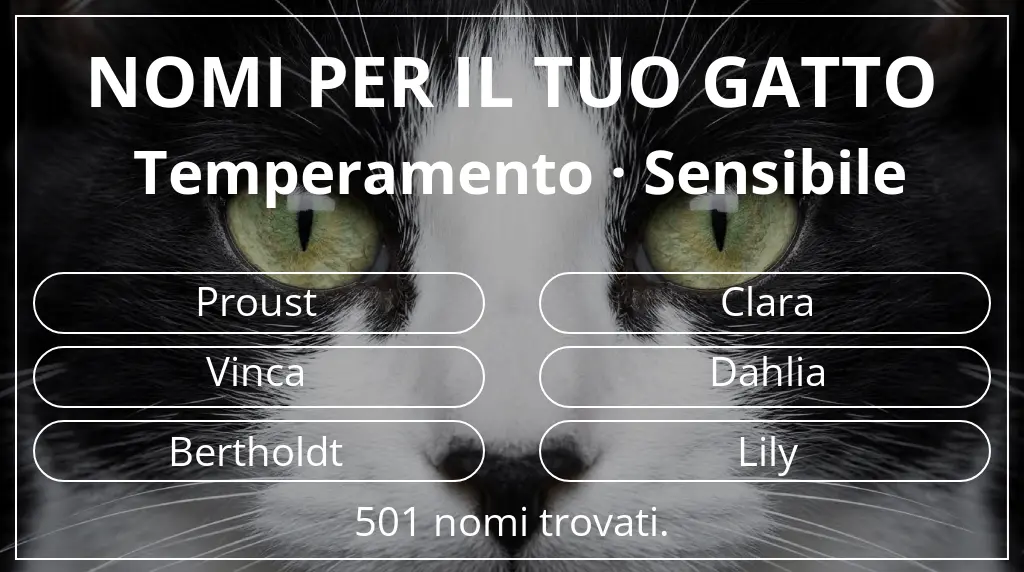Nomi felini ispirati a temperamento sensibile