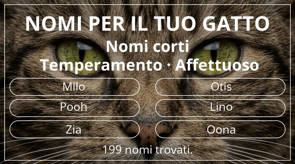 Nomi per il tuo gatto basati su lunghezza del nome breve (2–4) e temperamento affettuoso