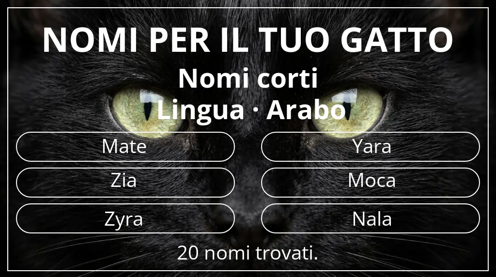 Nomi per il tuo gatto basati su lunghezza del nome breve (2–4) e lingua arabo