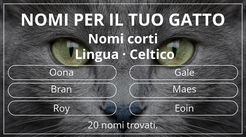 Nomi felini legati a lunghezza del nome breve (2–4) e lingua celtico