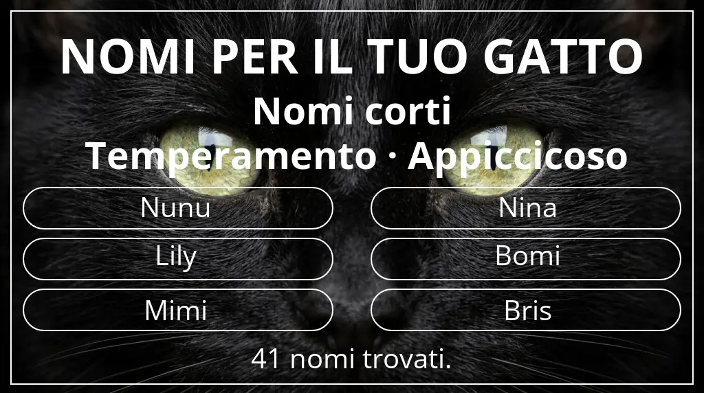 Nomi per gatti basati su lunghezza del nome breve (2–4) e temperamento appiccicoso