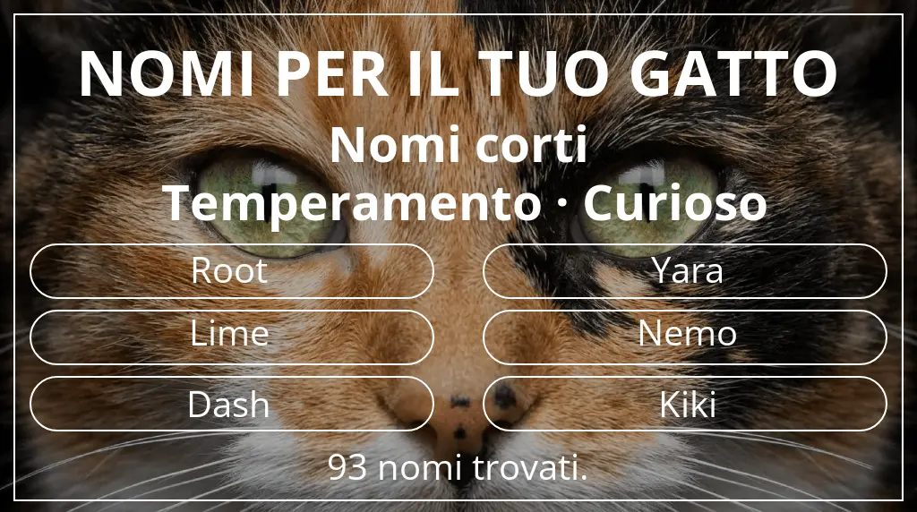 Nomi per il tuo gatto legati a lunghezza del nome breve (2–4) e temperamento curioso
