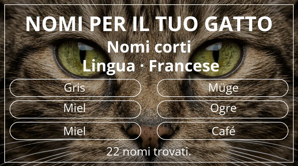Nomi per gatti basati su lunghezza del nome breve (2–4) e lingua francese