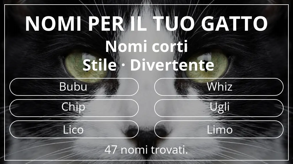 Nomi felini basati su lunghezza del nome breve (2–4) e stile divertente