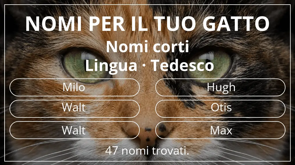 Nomi per il tuo gatto ispirati a lunghezza del nome breve (2–4) e lingua tedesco